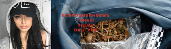 ешки Абинск