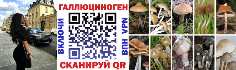 Псилоцибиновые грибы MAGIC MUSHROOMS  Заринск 