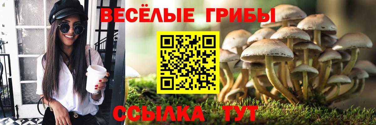 Псилоцибиновые грибы MAGIC MUSHROOMS  Вход с VPN  Заринск 